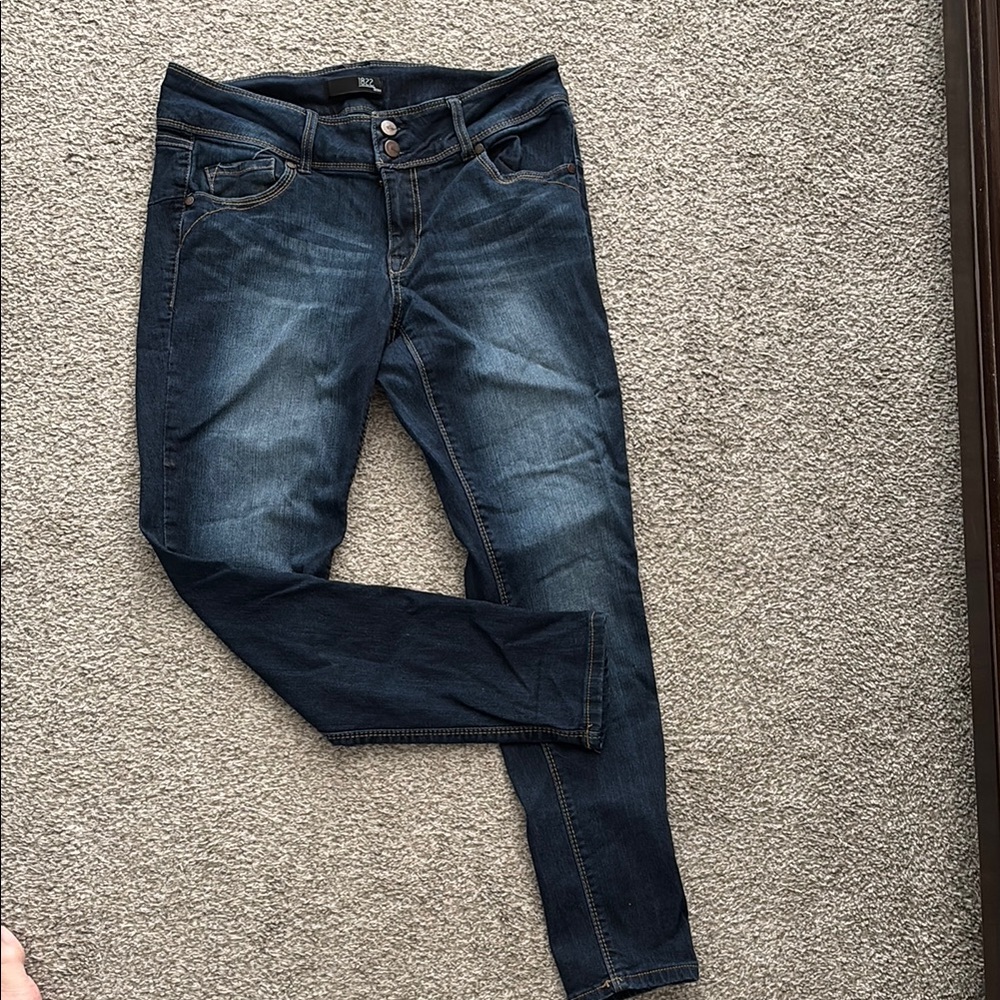 1822 Denim Blue Skinny Jeans with Tapered Leg